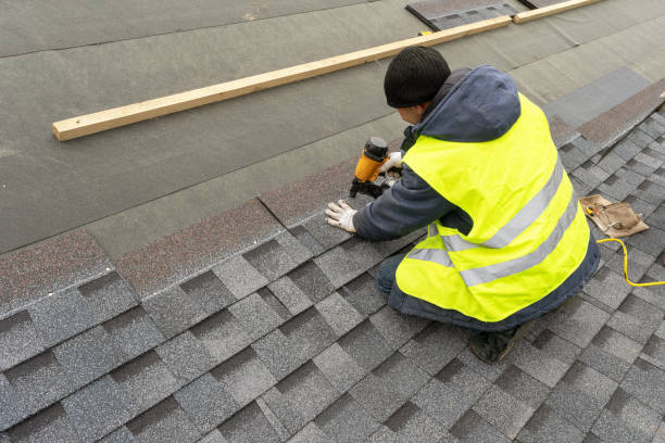 Best Residential Roofing Contractor  in Stevensville, MI