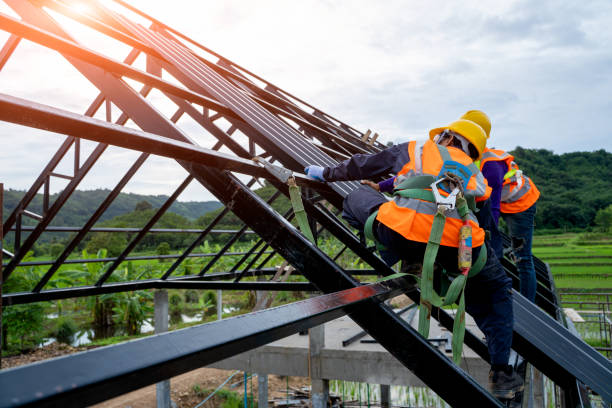 Best New Roof Installation  in Stevensville, MI