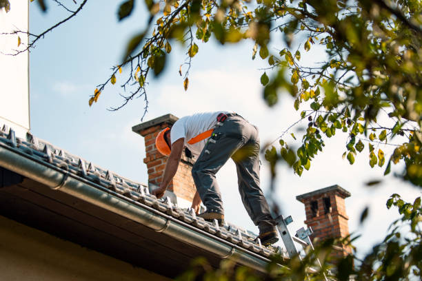 Best Commercial Roof Installation  in Stevensville, MI