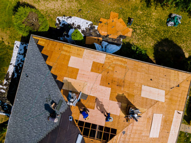 Best Roof Waterproofing Services  in Stevensville, MI