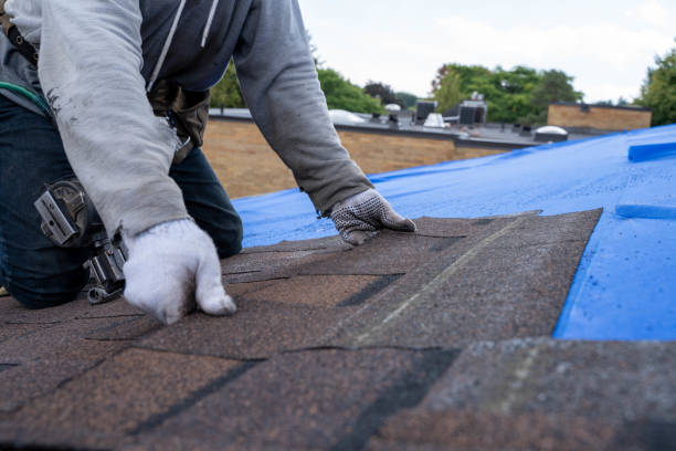 Quick and Trustworthy Emergency Roof Repair Services in Stevensville, MI