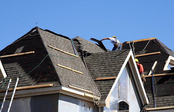 Best Roofing Contractor Near Me  in Stevensville, MI